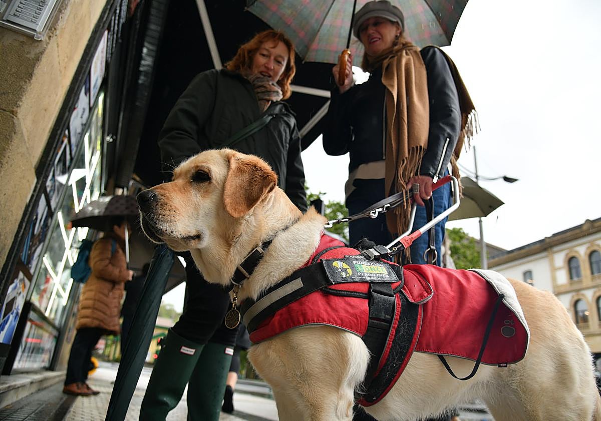 Imagen principal - Rasca ayuda a Miren en el día a día en muchas tareas, como pueden ser ir a hacer la compra o dar un paseo.