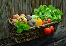 Verdura y hortaliza no son lo mismo: ¿Cuál es la diferencia?
