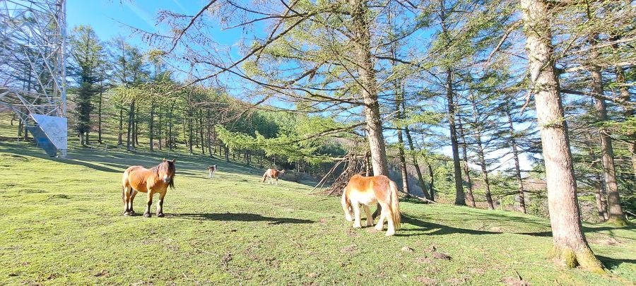 Erlaitz, una cima con muchos secretos