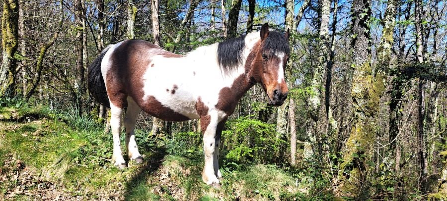 Erlaitz, una cima con muchos secretos