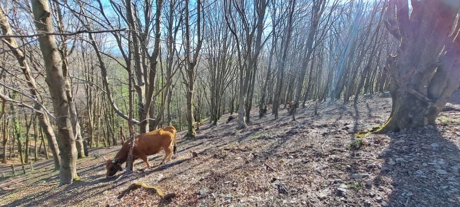 Erlaitz, una cima con muchos secretos