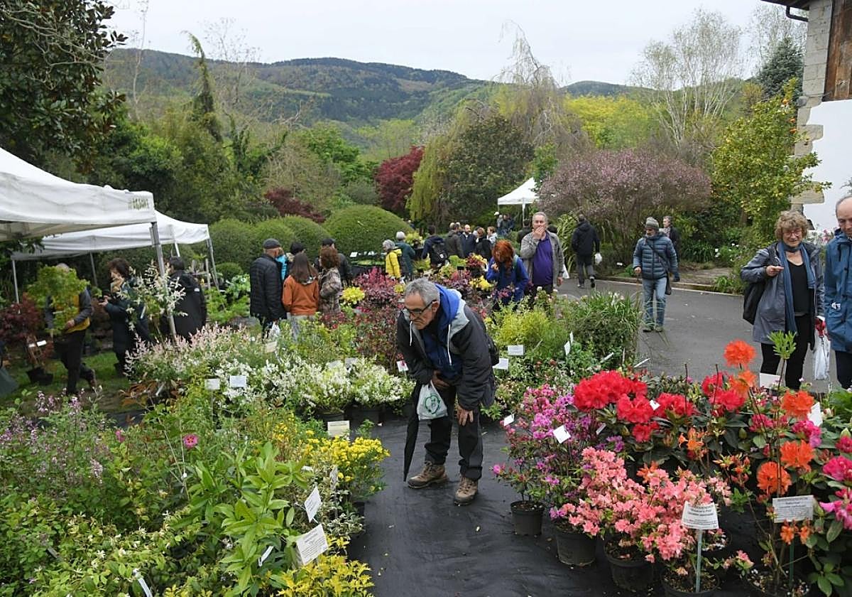 La feria tiene una variada oferta para ver y comprar.