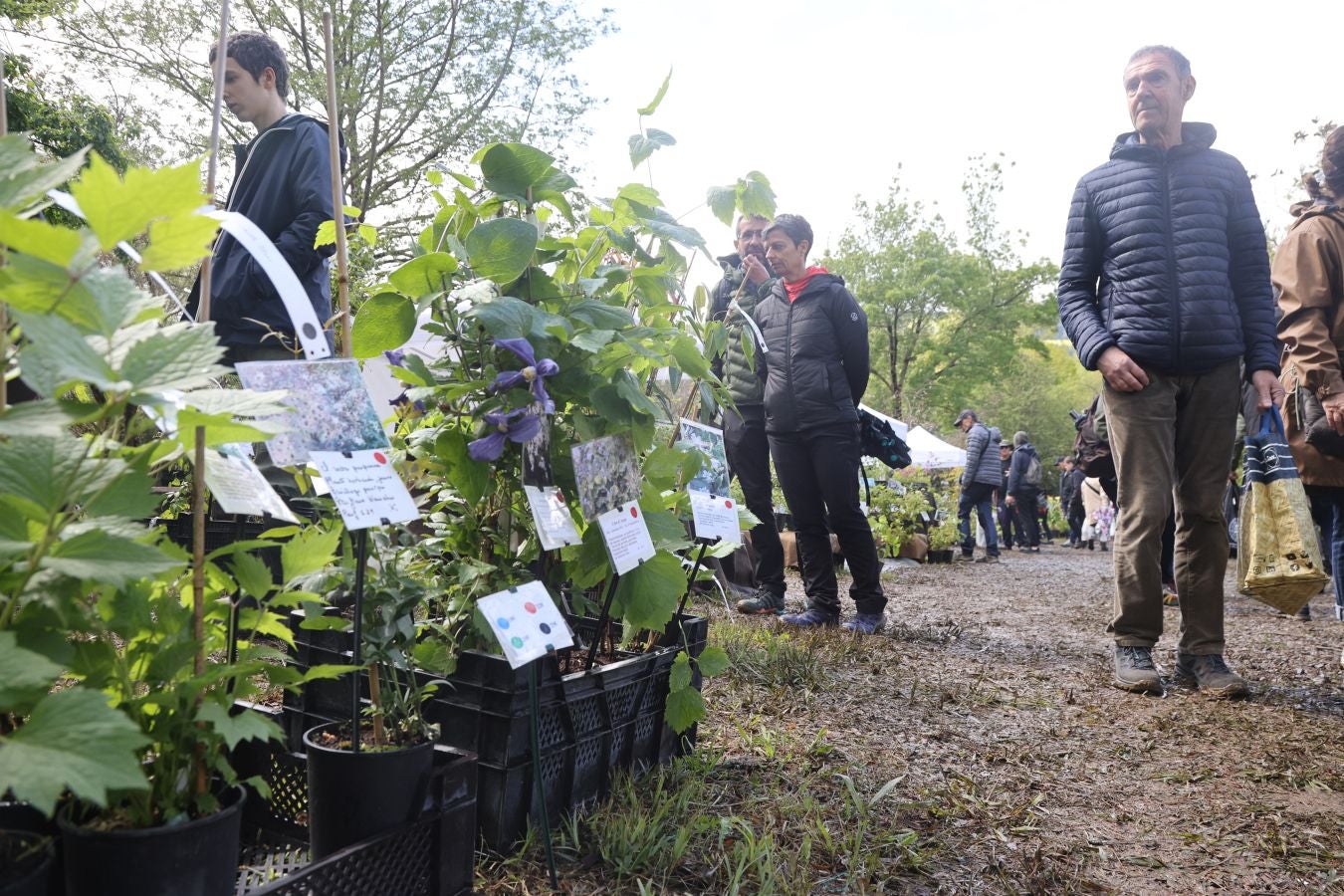 Miles de personas visitan la Feria de Plantas de Iturraran