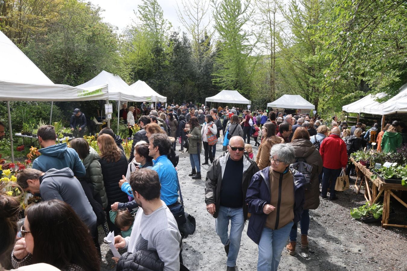 Miles de personas visitan la Feria de Plantas de Iturraran