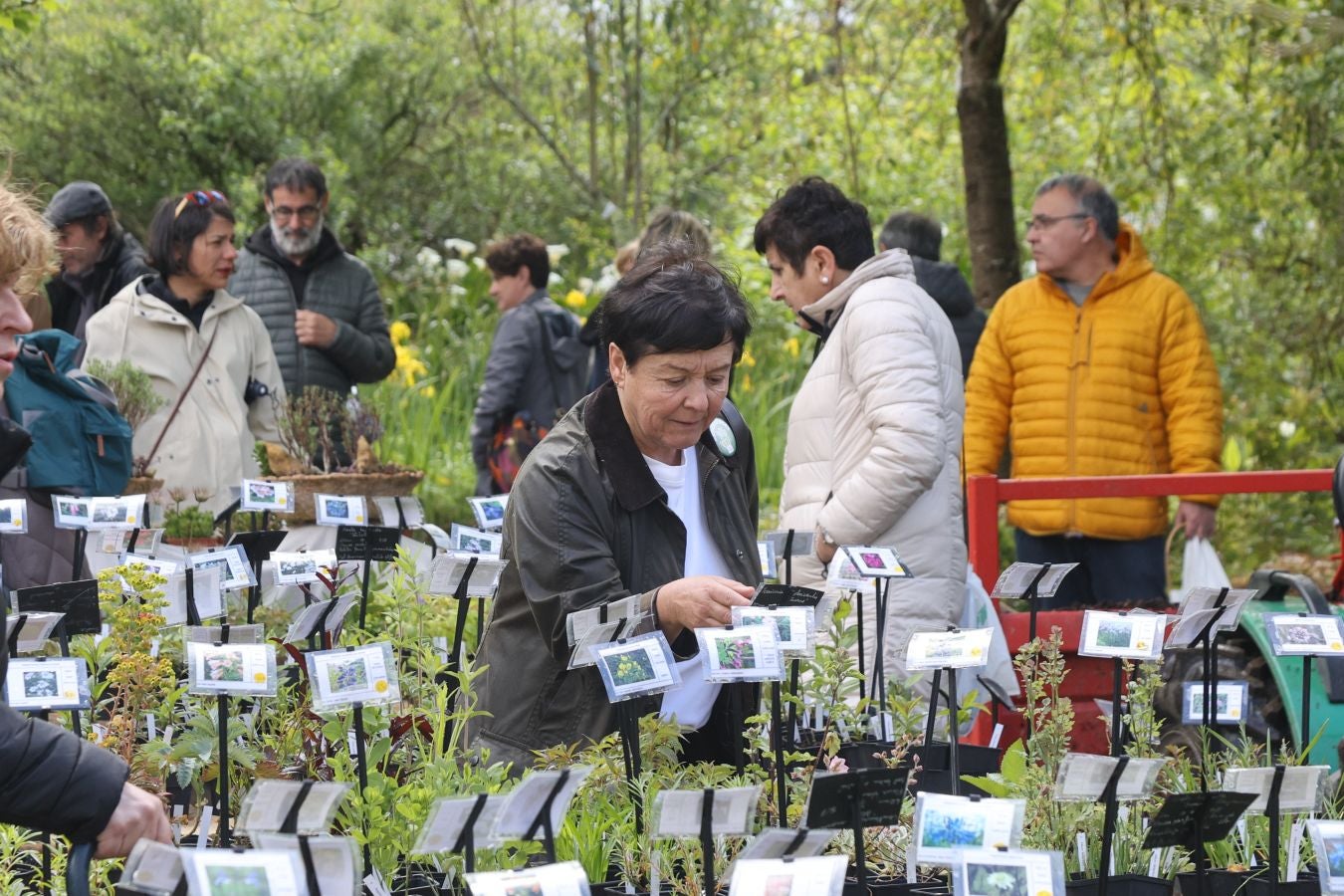 Miles de personas visitan la Feria de Plantas de Iturraran