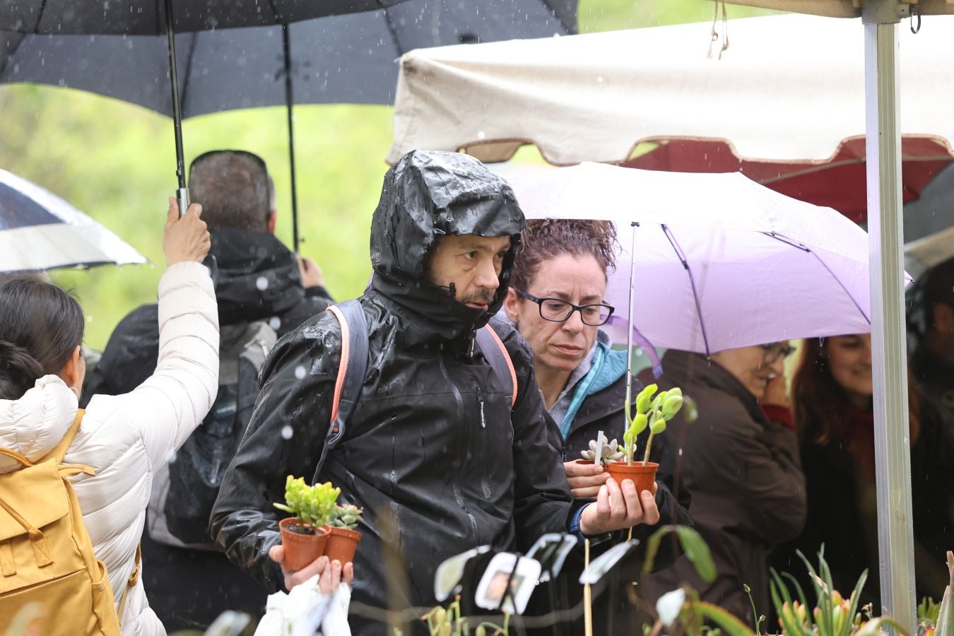 Miles de personas visitan la Feria de Plantas de Iturraran