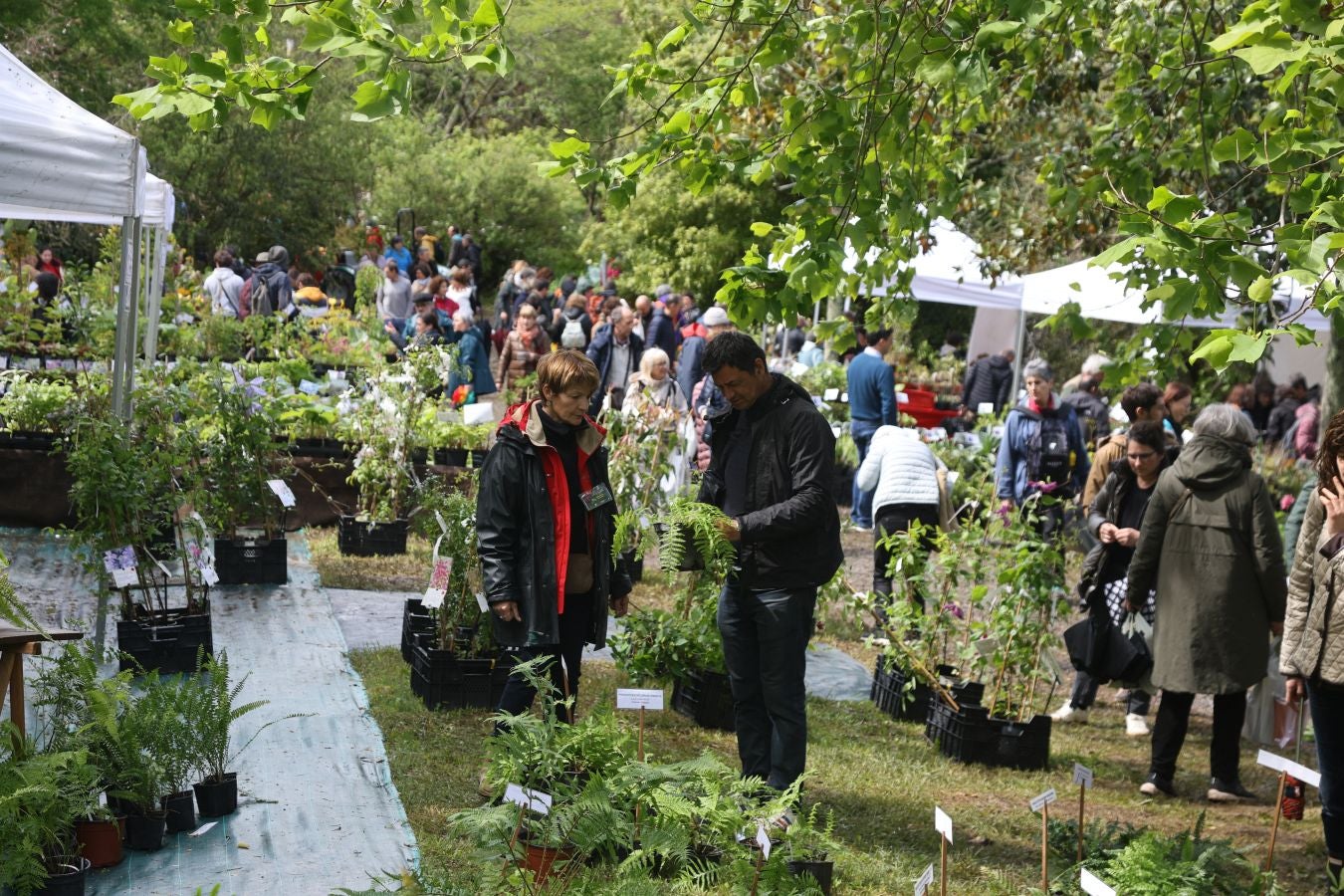 Miles de personas visitan la Feria de Plantas de Iturraran