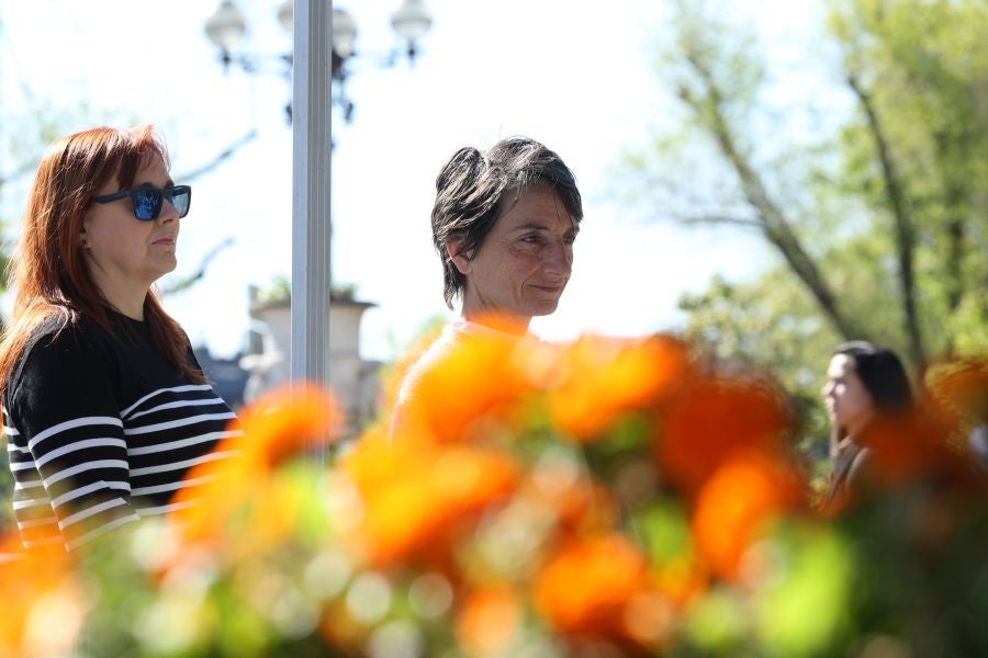 Reparto de flores y plantas