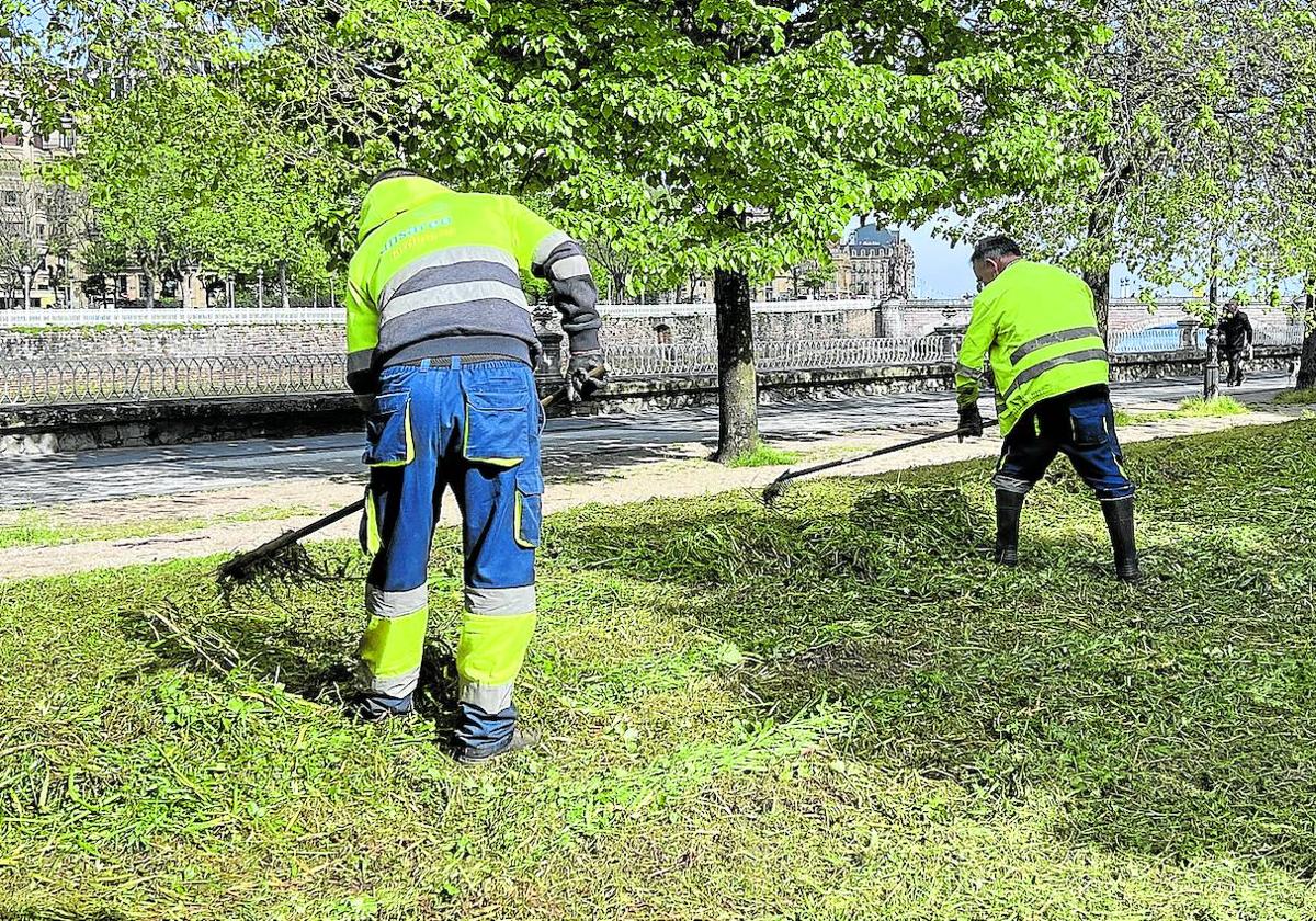 Sirimiri: Siega de los narcisos en el paseo de Francia