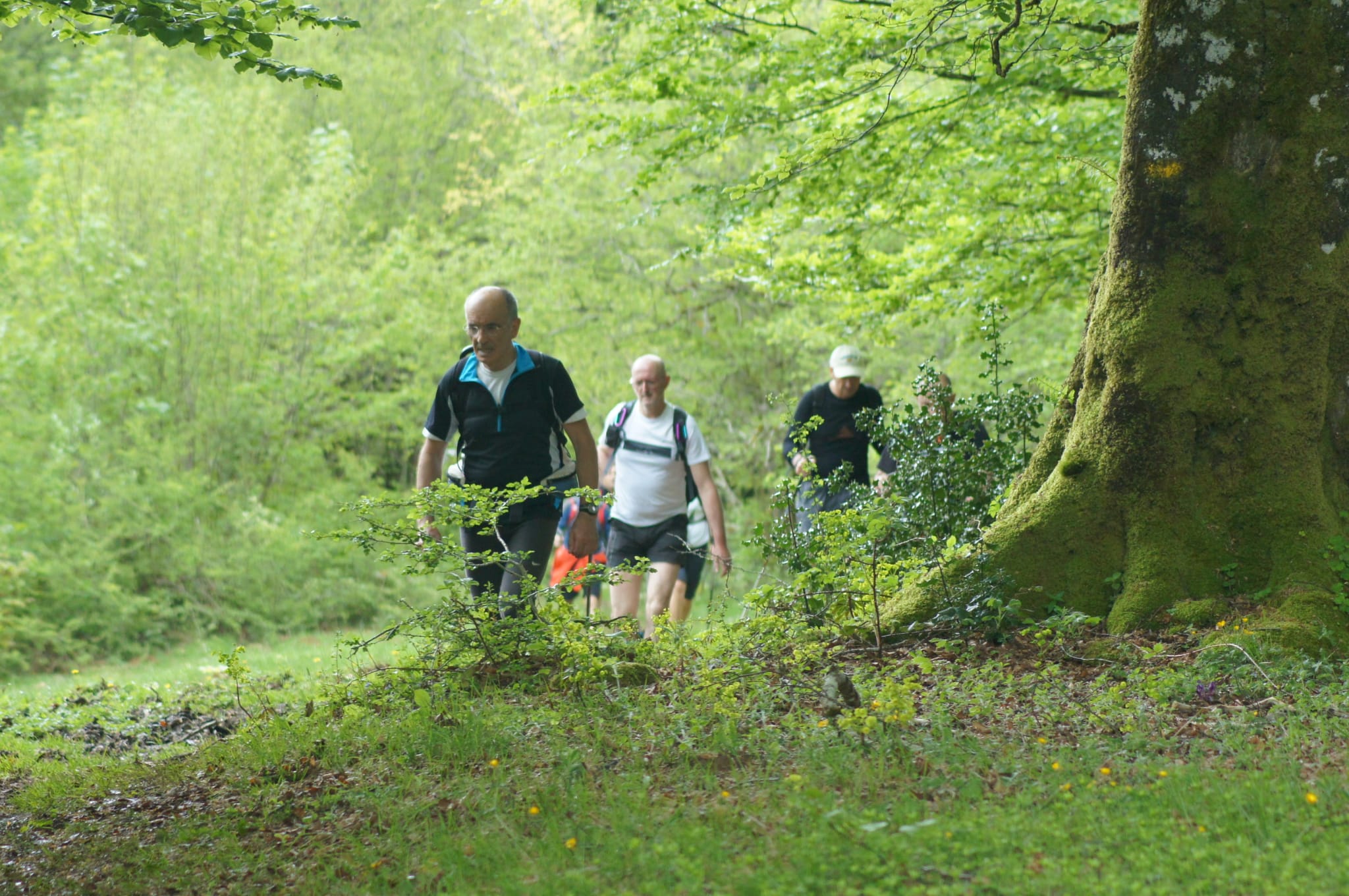 Comienza la cuenta atrás para la marcha regulada XIV Orduak