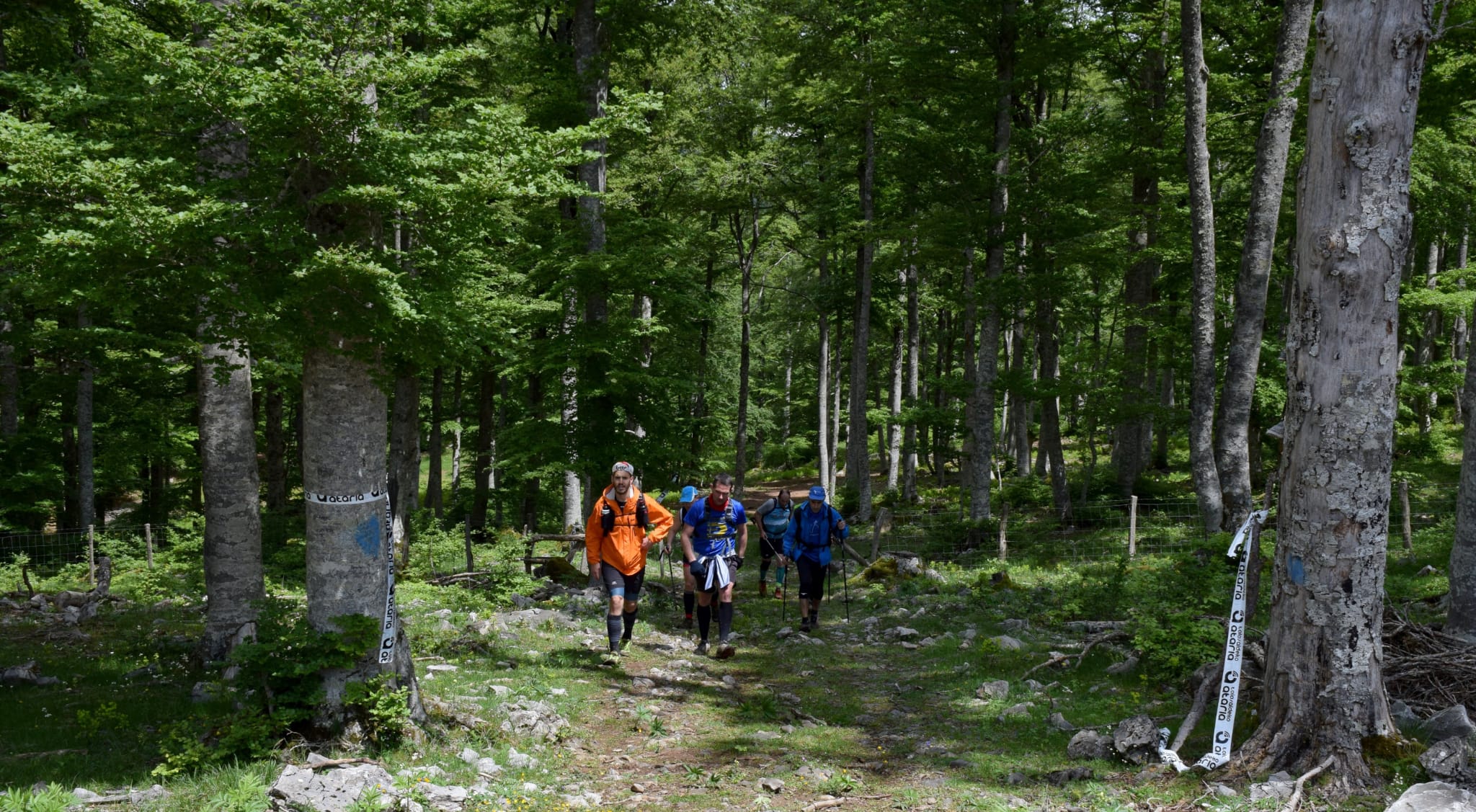 Comienza la cuenta atrás para la marcha regulada XIV Orduak