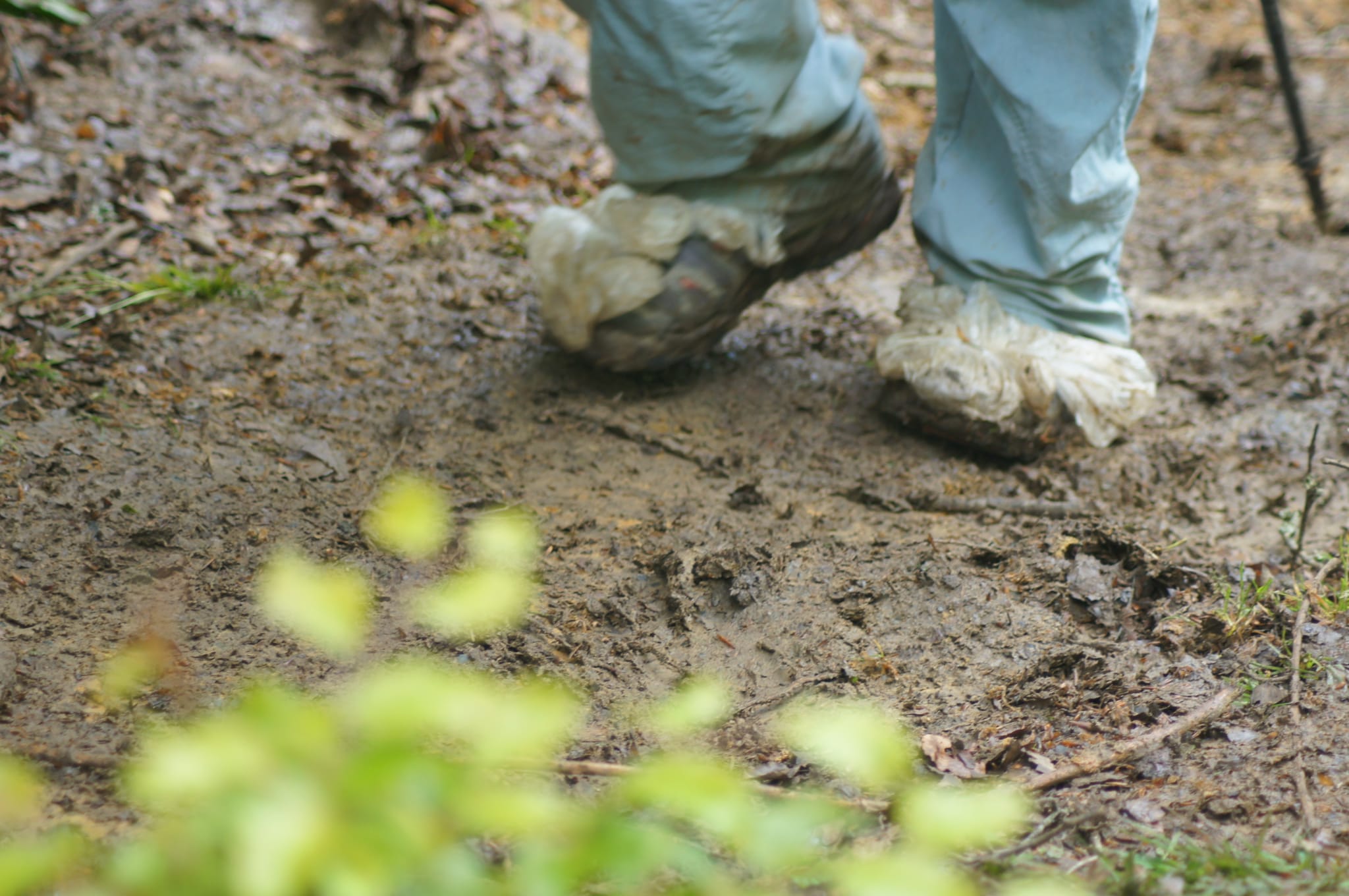 Comienza la cuenta atrás para la marcha regulada XIV Orduak