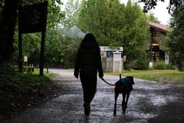 Una mujer pasea con su perro por la zona de Plaiaundi.