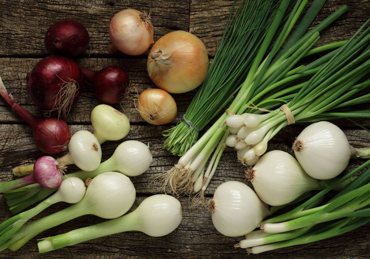 Tipos de cebolla y su uso en la cocina