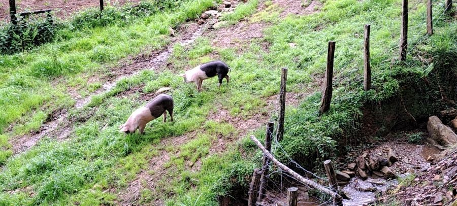 Baztarla: la melodía del monte sobre Leitza