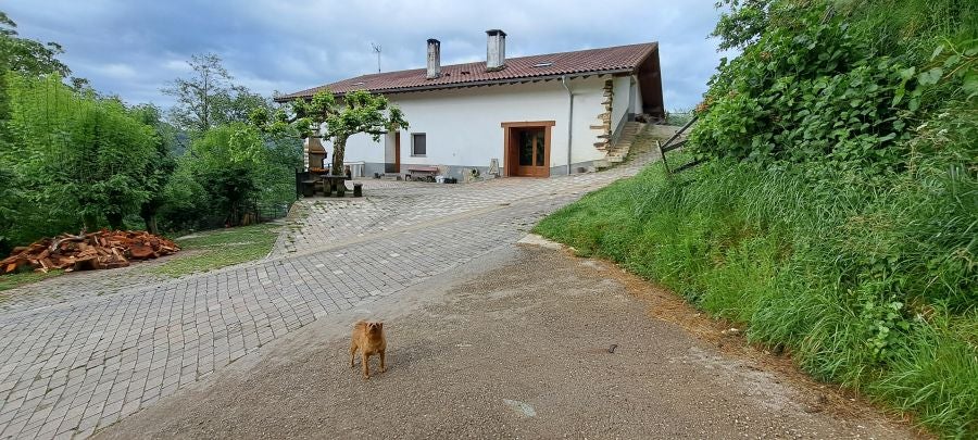 Baztarla: la melodía del monte sobre Leitza