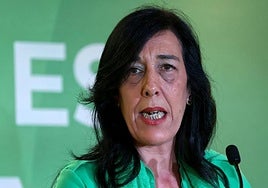 Vox ve «insultante» el espacio asignado en el Parlamento Vasco