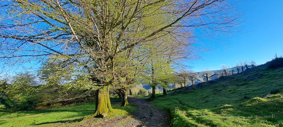 Ireber, muy popular entre los senderistas