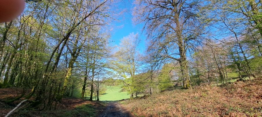 Ireber, muy popular entre los senderistas