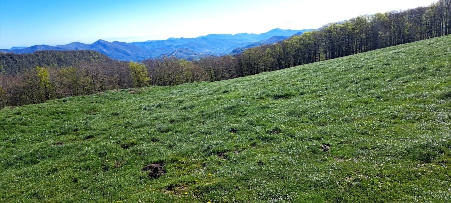 Ireber, muy popular entre los senderistas