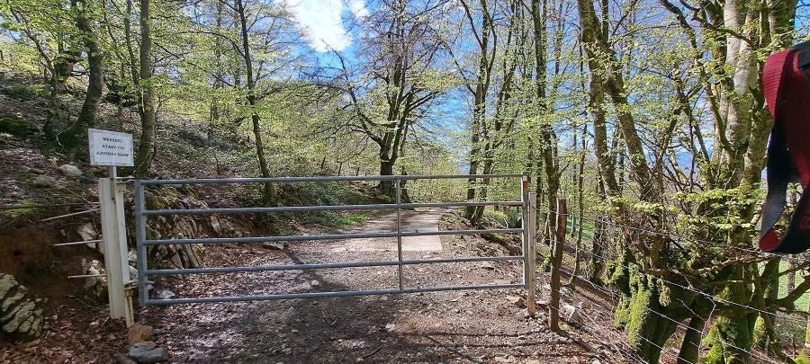 Ireber, muy popular entre los senderistas