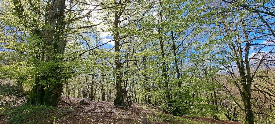 Ireber, muy popular entre los senderistas