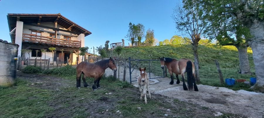 Ireber, muy popular entre los senderistas