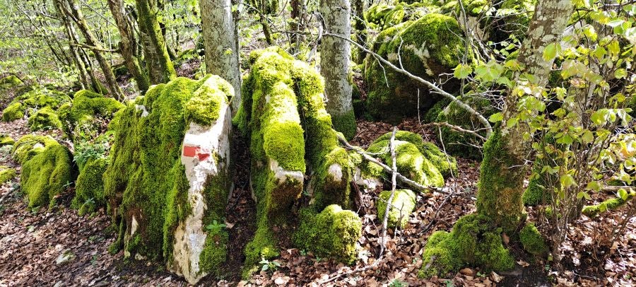 Ireber, muy popular entre los senderistas