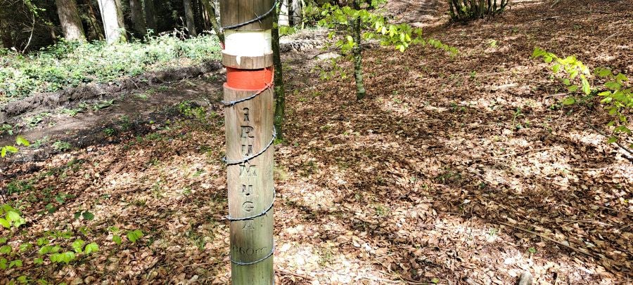 Ireber, muy popular entre los senderistas