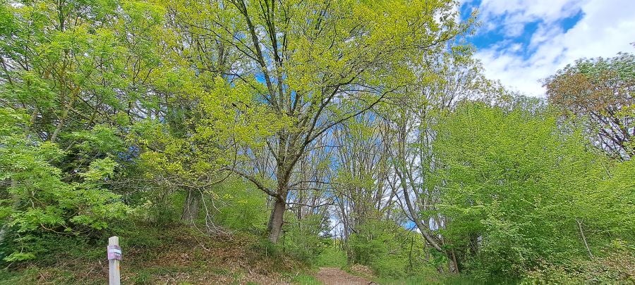 Ireber, muy popular entre los senderistas