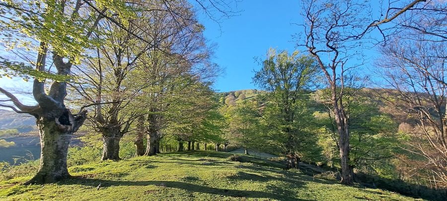 Ireber, muy popular entre los senderistas