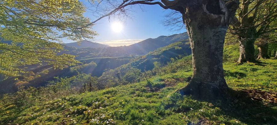 Ireber, muy popular entre los senderistas