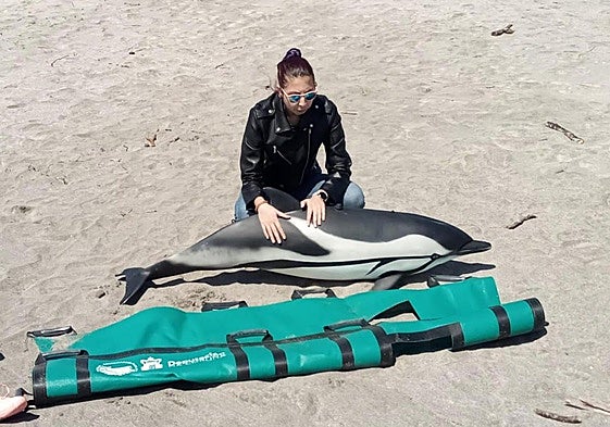 Una instructora, con la maqueta de un delfín de tamaño natural que también estará hoy en Getaria
