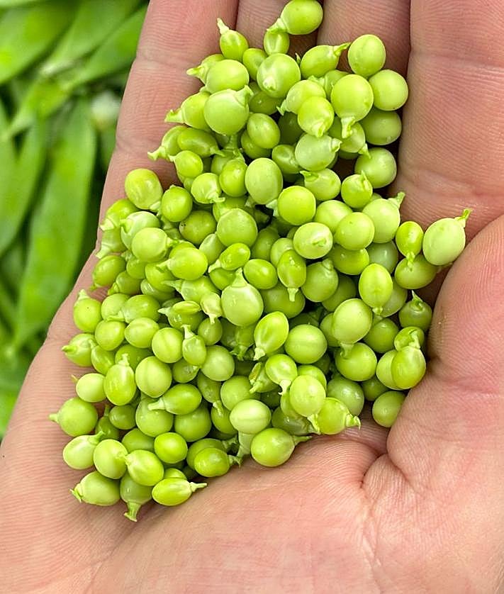 Imagen secundaria 2 - Producto y parrilla en el restaurante Arraunlari Berri de Hondarribia