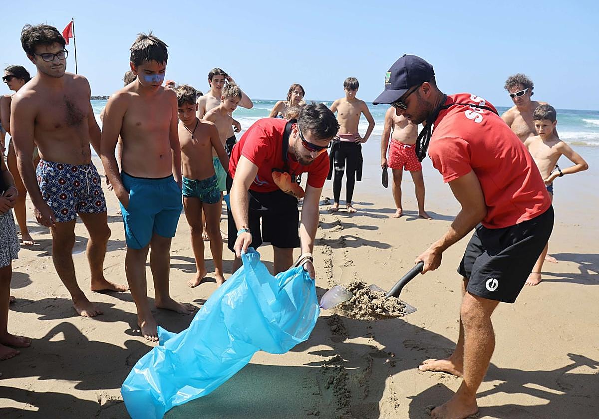 Euskadi vigilará la aparición de un alga que produce picores en la piel