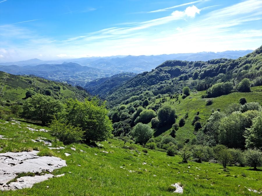 La belleza natural del Hernio