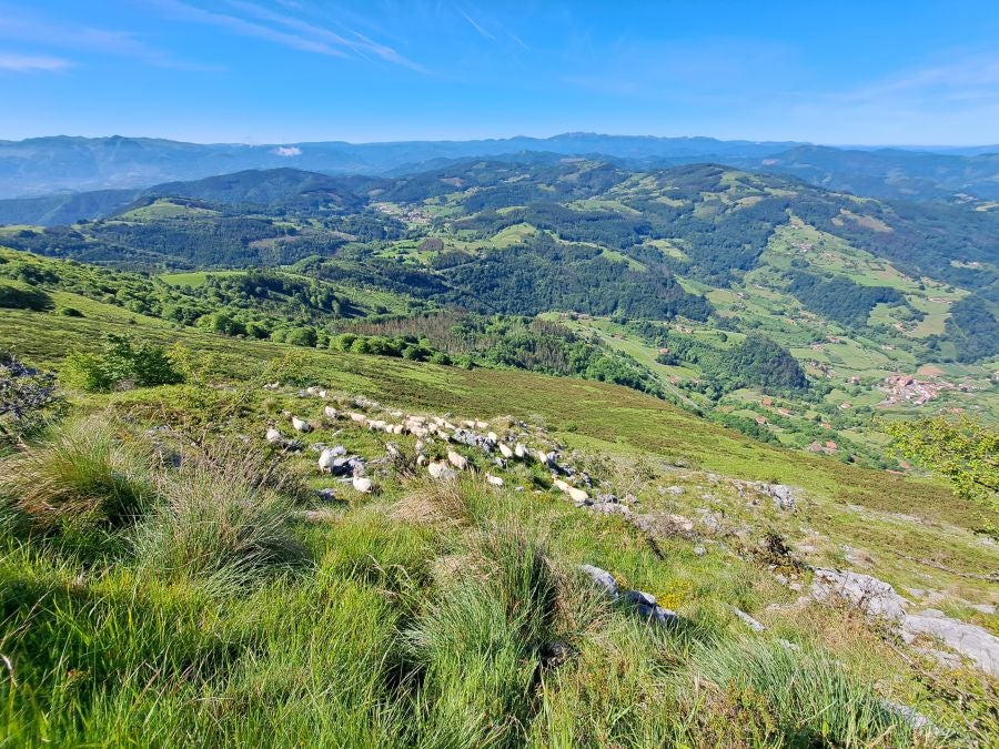 La belleza natural del Hernio