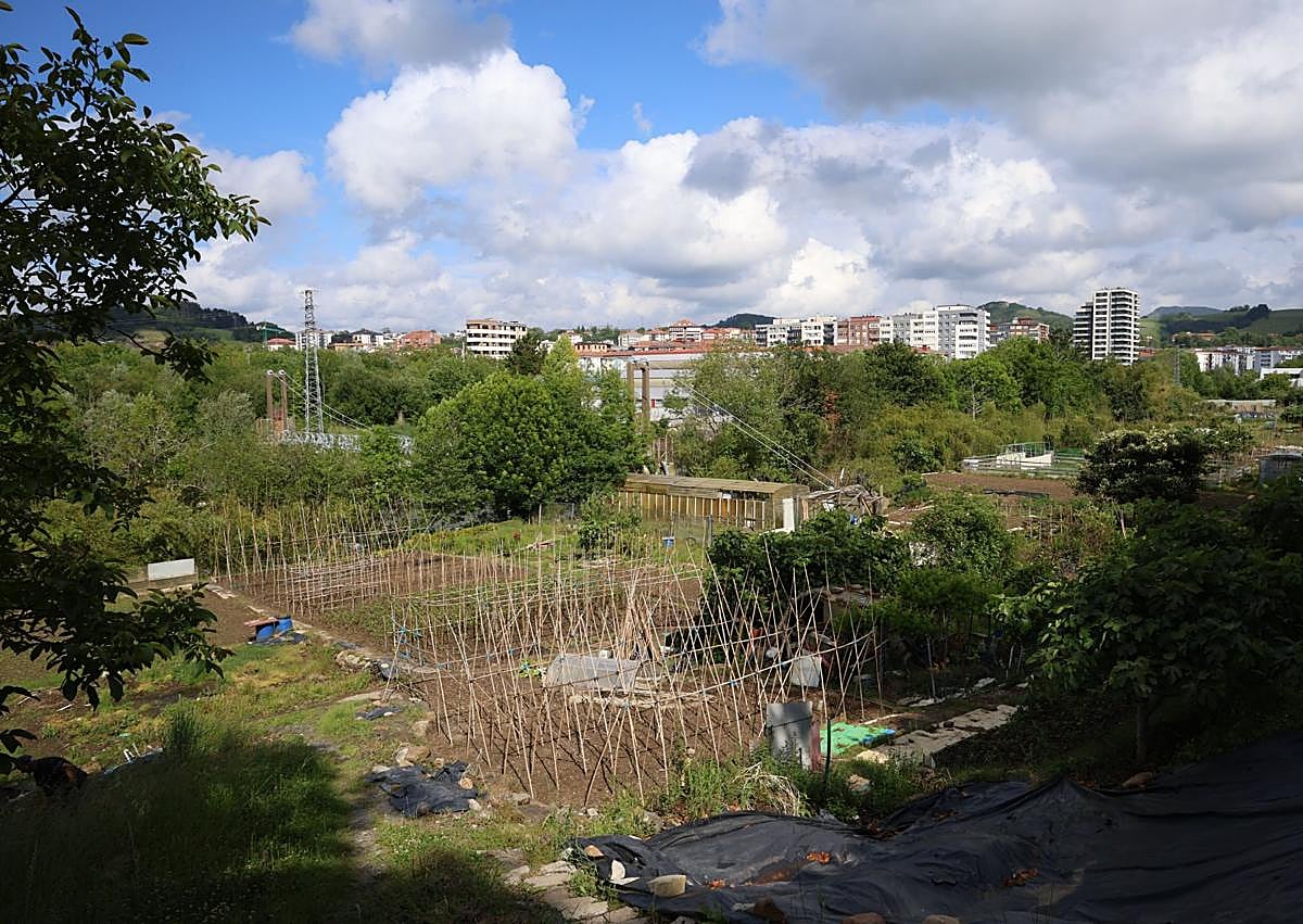Imagen secundaria 1 - Silvia Simón e Iñigo Huegun, impulsores del proyecto de nueva hípica.