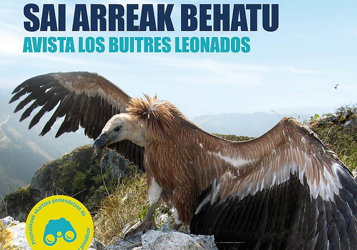 Sai arreak behatzeko aukera, igandean Arantzazun