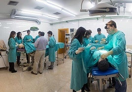 UPV/EHUko Medikuntza eta Erizaintza Fakultatea, zazpigarrena BAME zerrendan