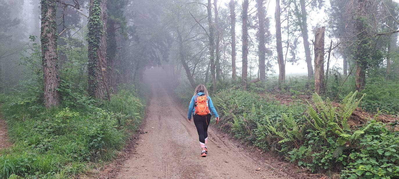 Las mejores imágenes de la ruta a Otsabio