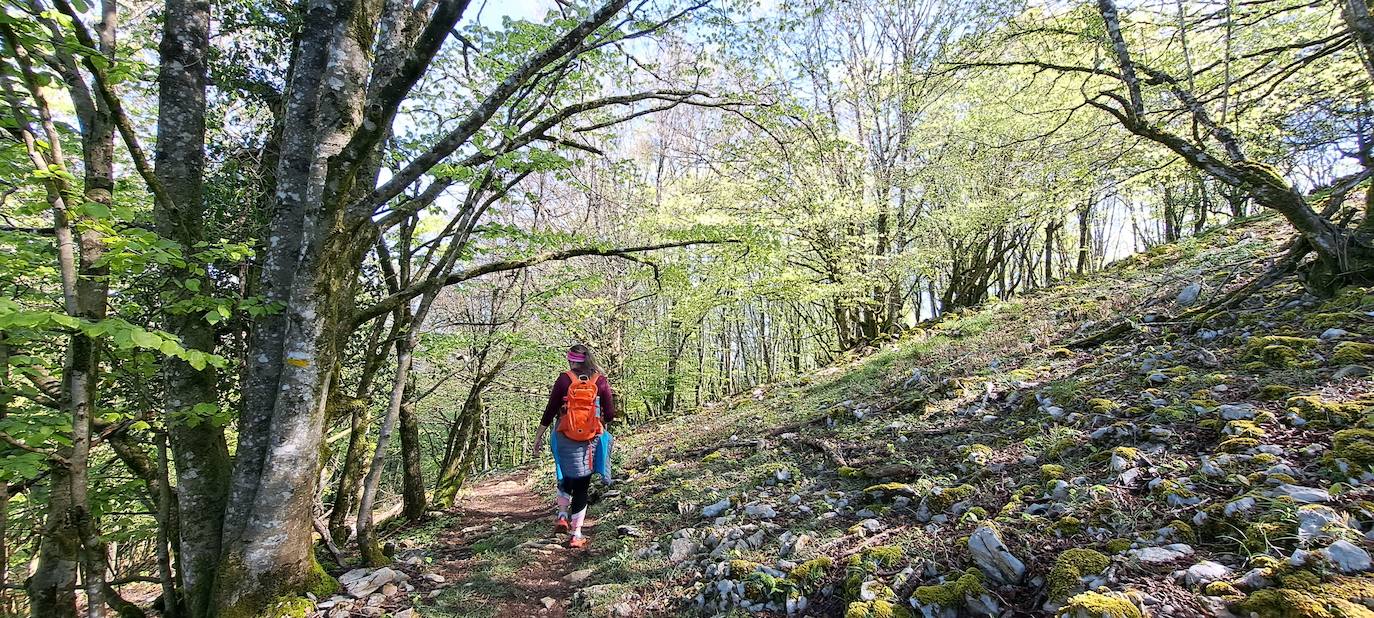 Las mejores imágenes de la ruta a Otsabio