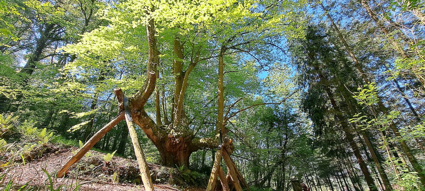 Las mejores imágenes de la ruta a Otsabio