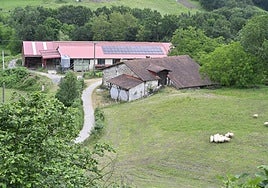 Caserío de Zerain donde reside el matrimonio detenido, junto al pabellón en el que guardan a las ovejas.