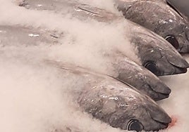 Ejemplares de bonito descargados este martes en el puerto de Pasaia