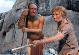 ecreación de un hombre y una mujer neandertales en el Neanderthal Museum de Mettmann, Alemania.