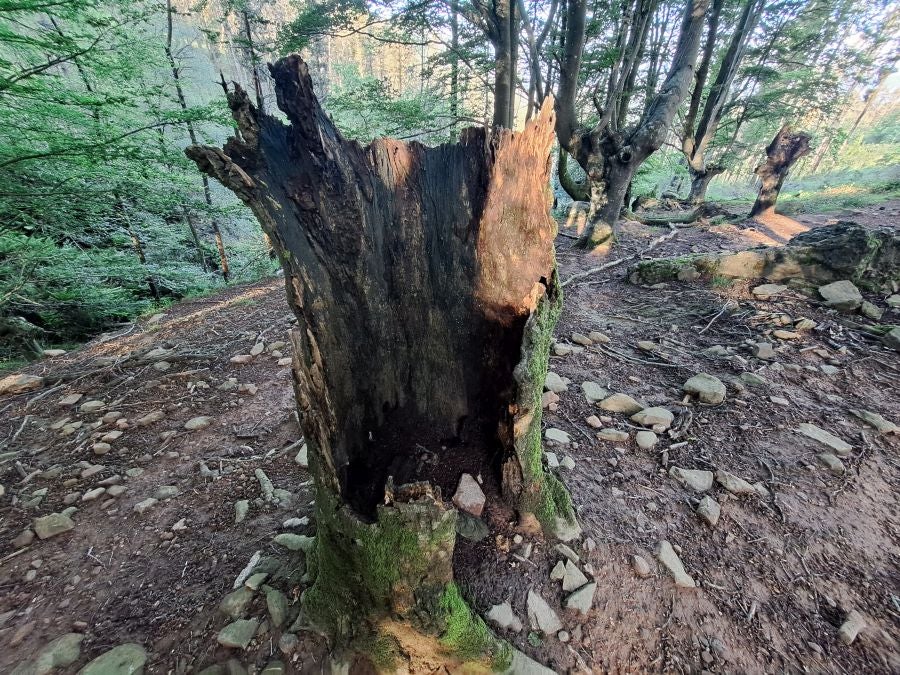 Oindo, un enclave mágico