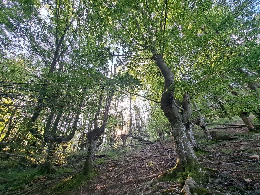 Oindo, un enclave mágico