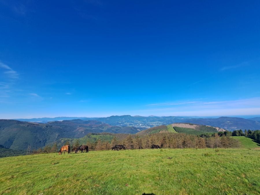 Oindo, un enclave mágico