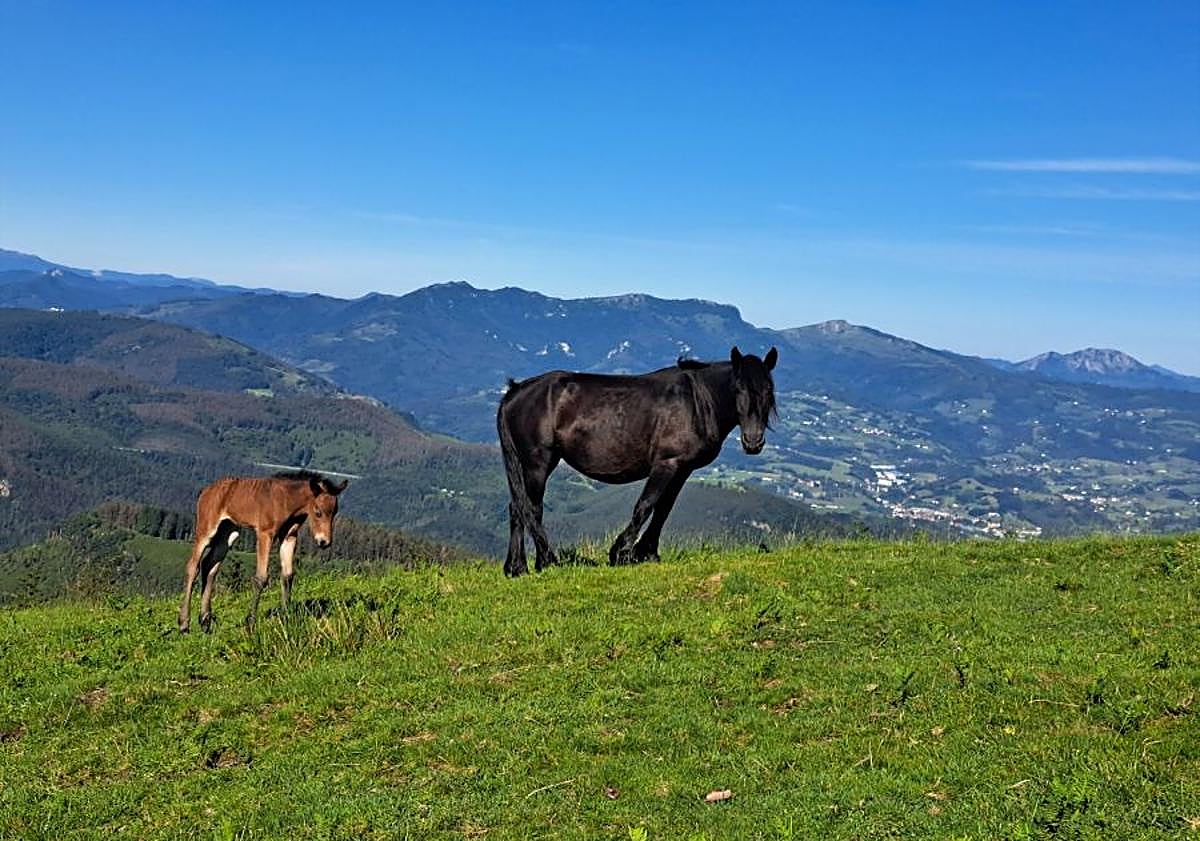 Imagen principal - Oindo, un paseo con vistas al mar